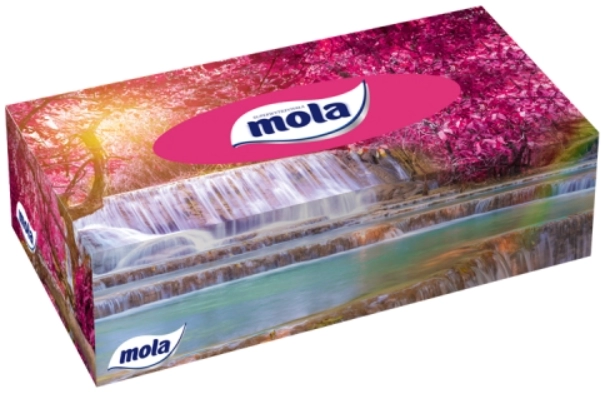 MOLA Chusteczki kosmetyczne 2 warstwowe 120 szt.